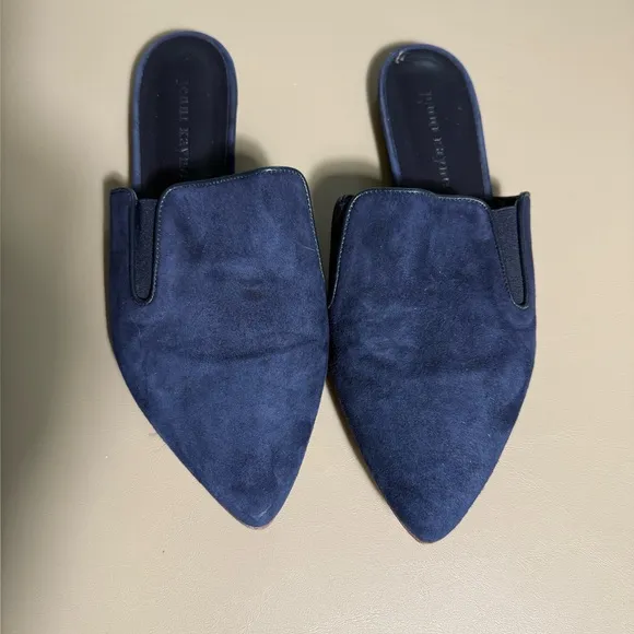 Jenni Kayne, women's, blue suede point toe mules, flats, 37, 7