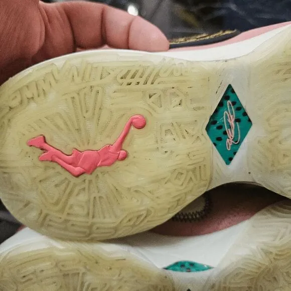 Lebron Nike sneakers shoes Pink diamond collection