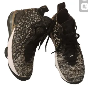 Nike Lebron 17 In the Arena Oreo Sneakers