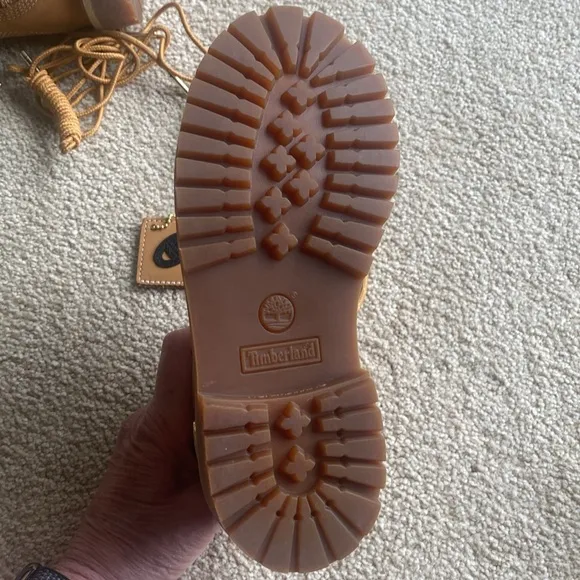 Timberland Champion 6 Inch Steel Toed Shoes in Boys 13.5 in Like- New Condition